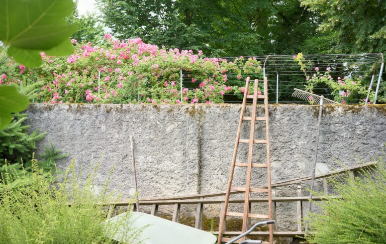 The Best Garden Ladder To Purchase